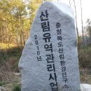 석교농장 Daum카페