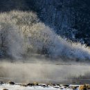 그리움한잔 이미지