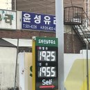 도마진실주유소