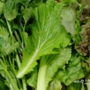 카페솔바위