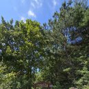 횡성 호수길 5구간 이미지