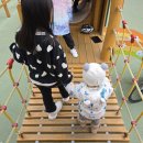 마곡12 온새미어린이집 | 육아일기 | 왜 걸으려는 노력도 없이 안아달라고 하니🤨 (510~516일)