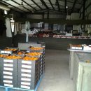 두언농장 이미지