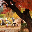 상의자동차야영장 이미지