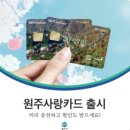 (주)코리아세븐 대림88타워점 | [원주시]8월 31일 원주사랑카드 제한 사용처(+카드 신청 방법) 총정리