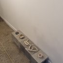 meta plant 이미지