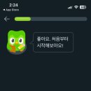시작 | [독어일기] 듀오링고 독일어 독학 시작! 가입 후기