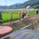 물여울마을 이미지