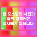 중기마을세천 | 천년고찰 내소사-주차,석가탄실일,방문후기