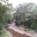 에코황토마을 이미지