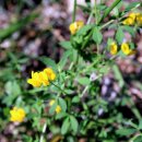 월영산모텔 이미지