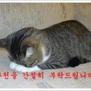 공감 - 보령시 돈바탕길 15 | 공감