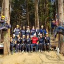 아보리스트 2급 자격증 과정 이미지