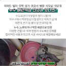 부평부백자연애아파트 이미지