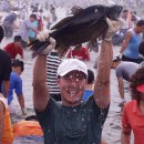 괴산청결고추축제 8.21~8.25 이미지