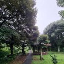 솜반천로 이미지