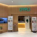 캣플 동탄점 이미지