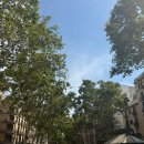 호텔까사(HOTEL CASA) | 10박 12일 신혼여행 ㅣ 스페인 바르셀로나 호텔 추천 ㅣ 까사 캠퍼 호텔 (Casa Camper Hotel)