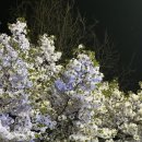 제법 길었던 봄날의 일상 (@2분기 회고)