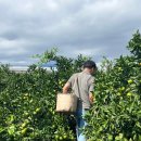 한라앤탐 이미지