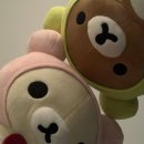 동양 태권도 | 꼭지 켜줄 거라 난 다짐했어