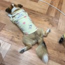 [덕계]꼼지락 리본아트 | #7 손으로 하는거 너무 오랜만이야! 크리스마스 느낌 물씬 나는 포쉐린아트 원데이클래스 후기💚