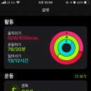 데일리 복싱 이미지