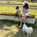 랑앤루 | 주간 5월 데일리룩 기록🌷 | 시에·포유온·제이드몽·베뉴엣 제주도 여행룩 모음