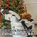 맥스켄넬 | 로얄테일즈 애견유모차 사전예약 +맥스&amp;프리미엄 크라운백 알아보기