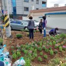 신장1동행정복지센터 이미지