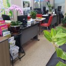 정한공인중개사사무소 이미지