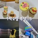 거창상회 등(금양수산) | 1박2일 부산여행_3] 광안리 디저트 카페, 동갑부부 • 밤바다, 광안리 해수욕장 • 민락 회 타운, 거창상회