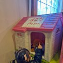 유씨네부엌 | 맛집 부모님 모시고 가기 좋은 버섯샤브샤브 주문하면 고르곤졸라피자가 나오는 보문산유씨네부엌 솔직후기