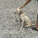 청풍펜션민박 이미지