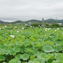 문화재답사 이미지