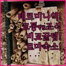 로마문구 | 테르미니역 호텔 교통과 조식 비교로 완벽한 로마 숙소 고르기