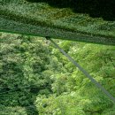 산채상회 이미지