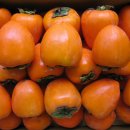 남성동019 이미지