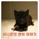 유니온동물의료센터 이미지