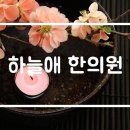 하늘애한의원 네이버블로그