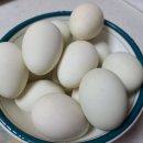 오늘은오리 Daum카페