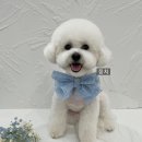 디어뚜뚜 이미지