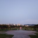 한중우호의숲 이미지