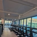 클로버짐 이미지