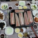 산포장어 이미지