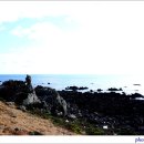 신천목장 이미지