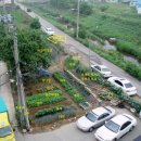 삼삼농장 이미지