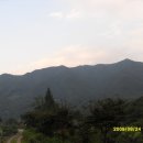 송정농원 이미지