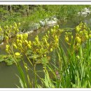 대연수목전시원 이미지