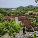 멍'블랑 이미지